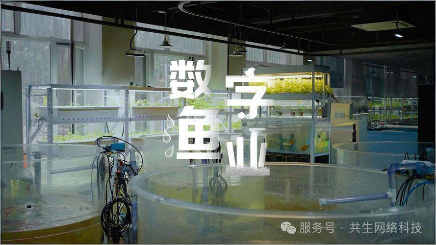 新法速递｜深度解析新政要求，共生致力渔业未来发展